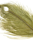 Flyco Ostrich Plume