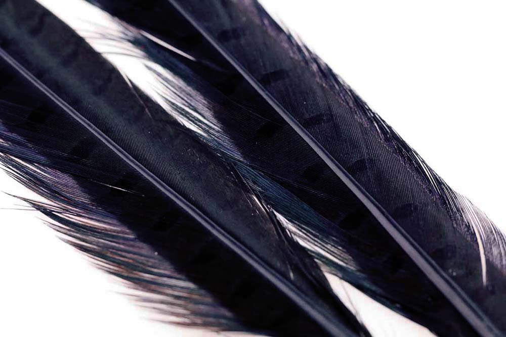 The Fly Co, 1 Pair Ringneck Tail Feathers Black