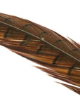 Flyco 1 pair Ringneck Tail feathers