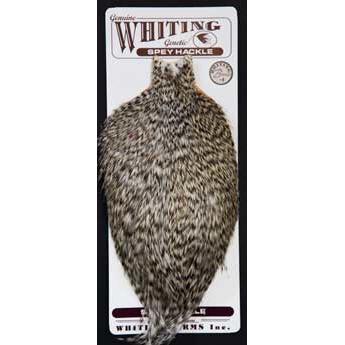 Whiting Spey Rooster Capes