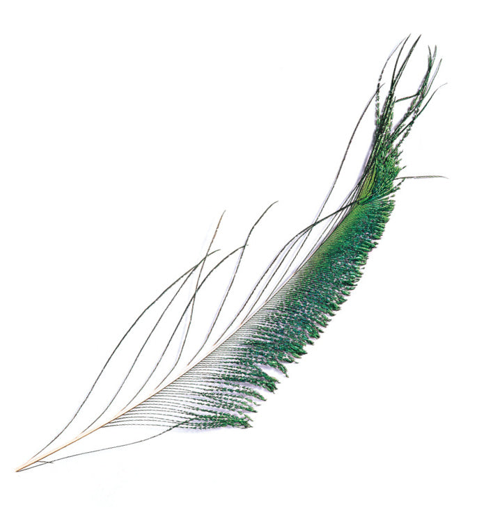 Veniard Peacock Sword Tails